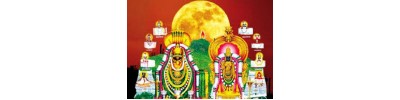 236. திருவண்ணாமலை